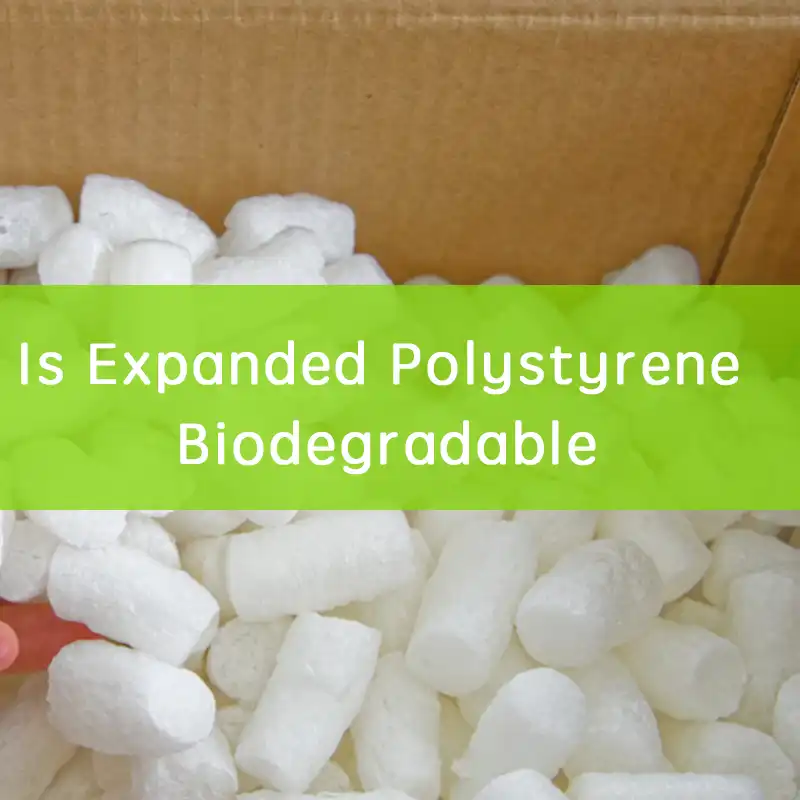 is expanded polystyrene biodegradable