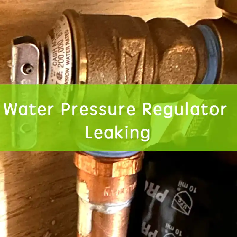 water pressure regulator leaking