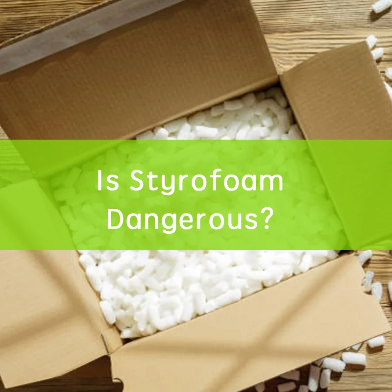 Is Styrofoam Dangerous