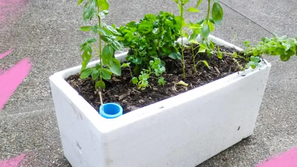 styrofoam for horticultural soil aeration