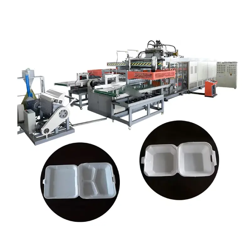 foam lunch box machine custom