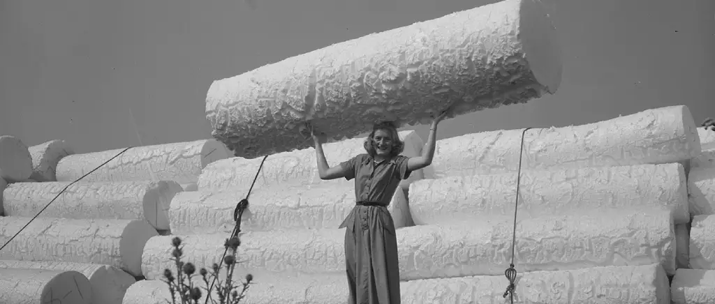 the history of styrofoam