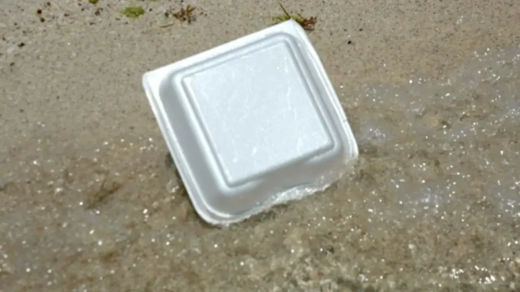 decomposition rate of styrofoam