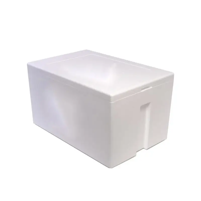 insulated styrofoam cooler