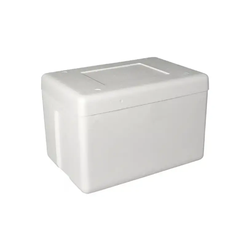 styrofoam cooler for dry ice