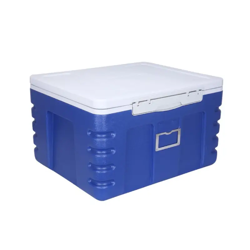 big epp vintage cooler box