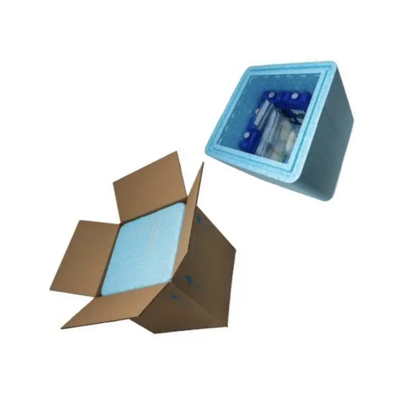 epp insulated shipping box