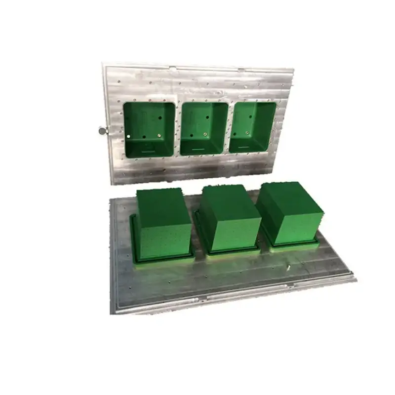 customized epp fruit box mould