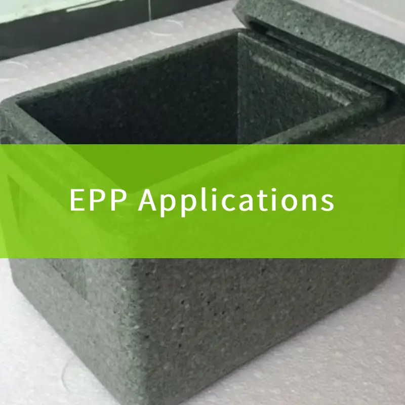 epp applications