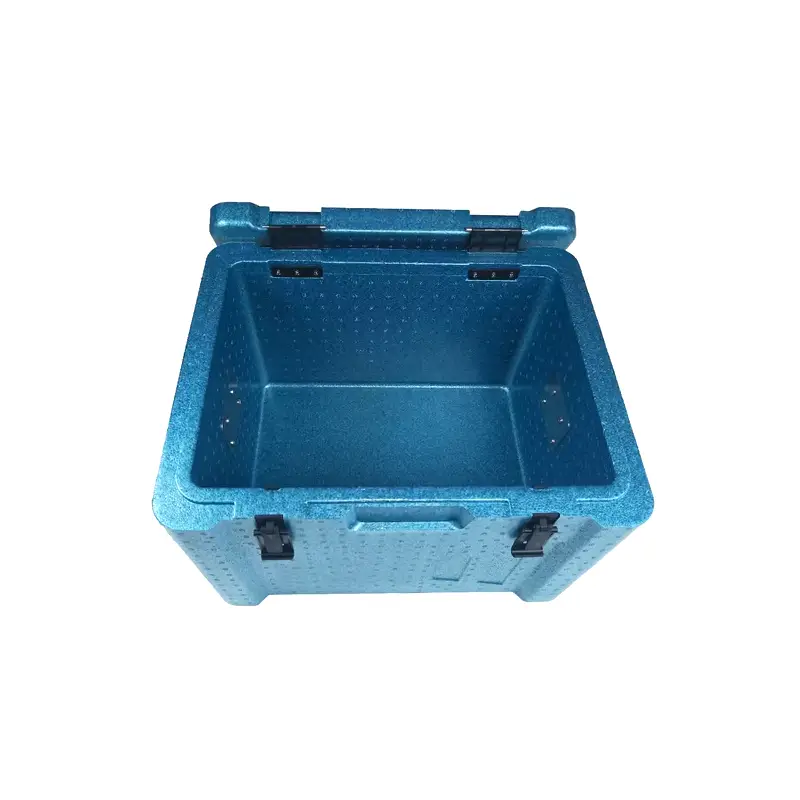 epp lunch thermal cooler box