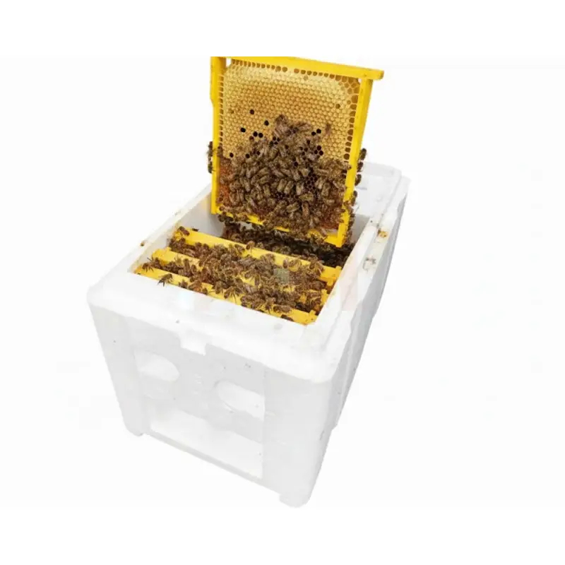 eps beehive box