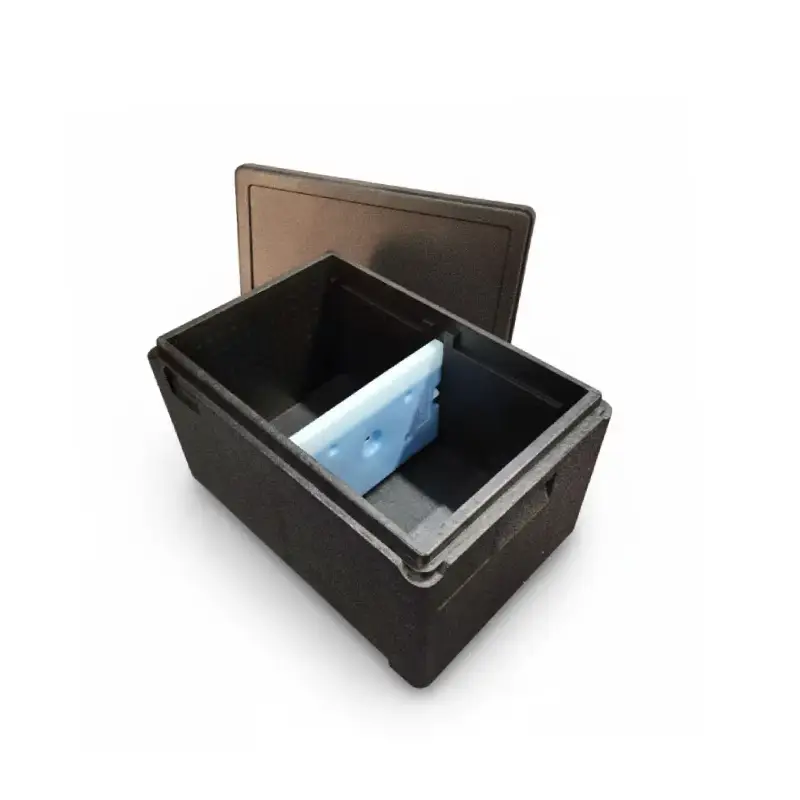 epp cold chain packaging with segment