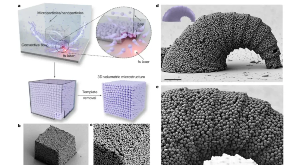 what is the difference between microspheres and nanoparticles
