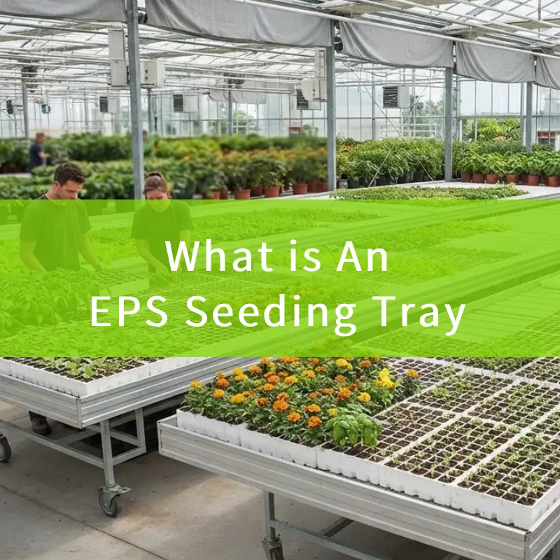 what is an eps seed tray